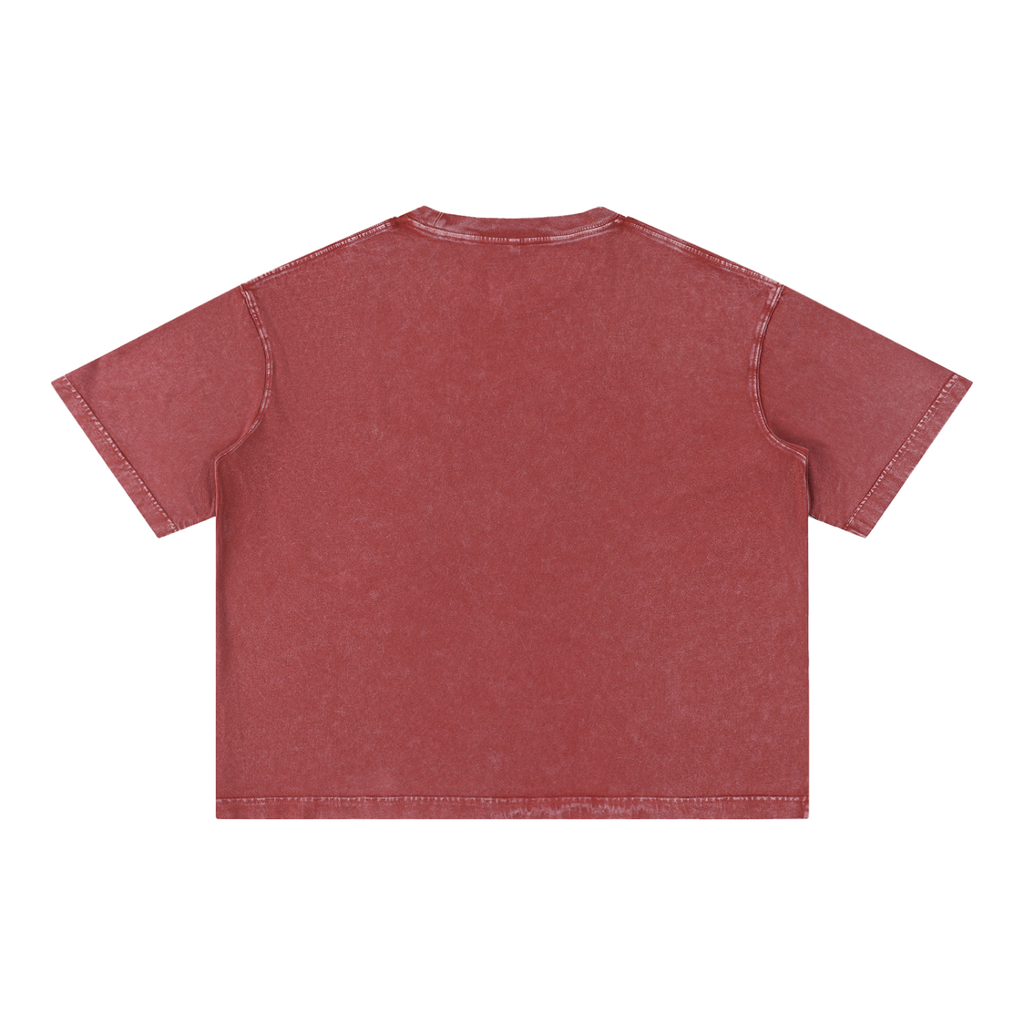 all,arcaprl,mineral,wash,boxy,cotton,t-shirt,tee,one-size,upper body