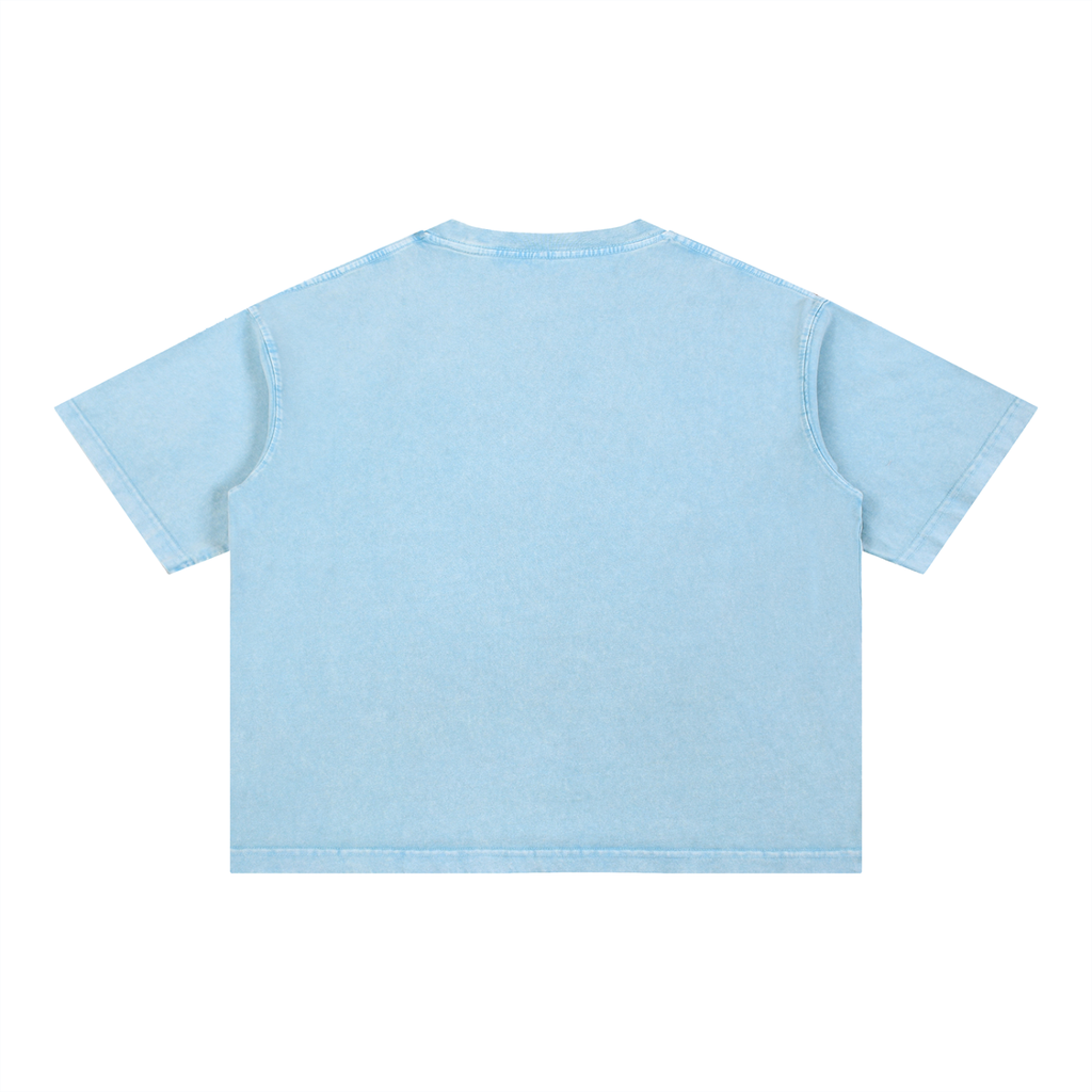 all,arcaprl,mineral,wash,boxy,cotton,t-shirt,tee,one-size,upper body
